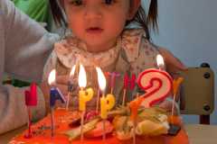 WhatsApp-Image-2026-02-20-at-17.01.12