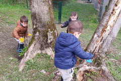 IMG-20250325-WA0006