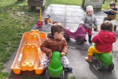 IMG-20250325-WA0012