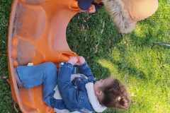 IMG-20250331-WA0008