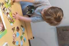 IMG-20250411-WA0013