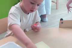 IMG-20250429-WA0029