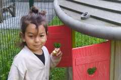 IMG-20250430-WA0004