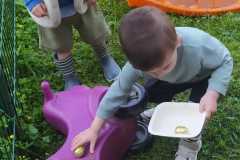 IMG-20250430-WA0006