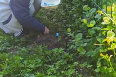 IMG-20250430-WA0012