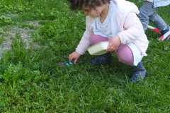 IMG-20250430-WA0015