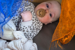 IMG-20250212-WA0009