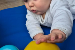 IMG-20250214-WA0008