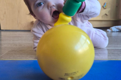 IMG-20250227-WA0014