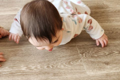 IMG-20250228-WA0024