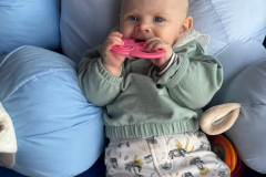 IMG-20250228-WA0028