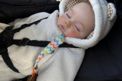 IMG-20250305-WA0003