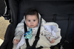 IMG-20250305-WA0005