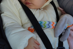 IMG-20250310-WA0016