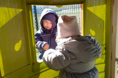 IMG-20250319-WA0006