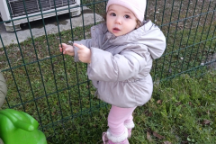 IMG-20250319-WA0016