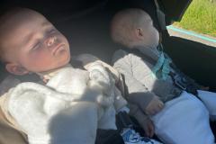 IMG-20250429-WA0035