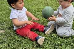 IMG-20250502-WA0013