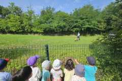 IMG-20250616-WA0002