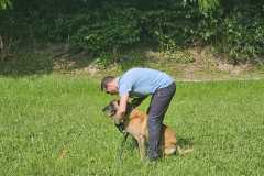 IMG-20250616-WA0003