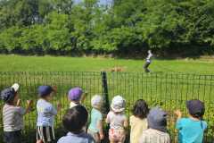 IMG-20250616-WA0004