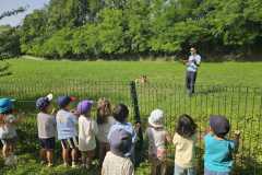 IMG-20250616-WA0008