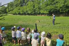 IMG-20250616-WA0009