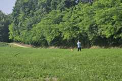 IMG-20250616-WA0011