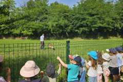 IMG-20250616-WA0012