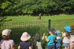 IMG-20250616-WA0013