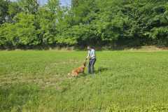 IMG-20250616-WA0015