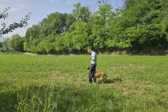 IMG-20250616-WA0016