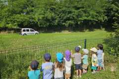 IMG-20250616-WA0022