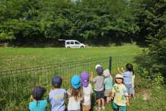 IMG-20250616-WA0024