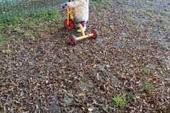 IMG-20261012-WA0010