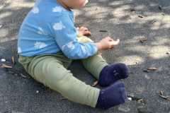 IMG-20261013-WA0010