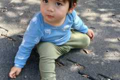 IMG-20261013-WA0011