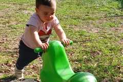 IMG-20261013-WA0013