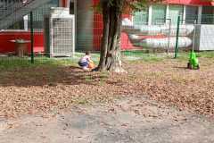 IMG-20261013-WA0014