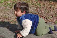 IMG-20261013-WA0017