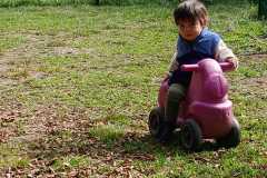 IMG-20261013-WA0020