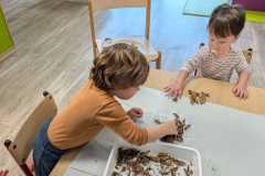 IMG-20261019-WA0002