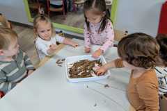IMG-20261019-WA0007