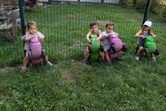 IMG-20260902-WA0011