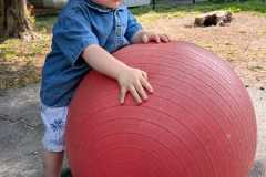IMG-20260902-WA0018