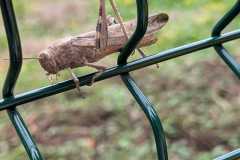 IMG-20260910-WA0005