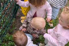 IMG-20260910-WA0006
