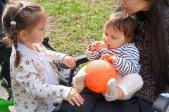 IMG-20260911-WA0011