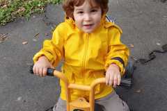 IMG-20260911-WA0017