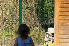 IMG-20260911-WA0043